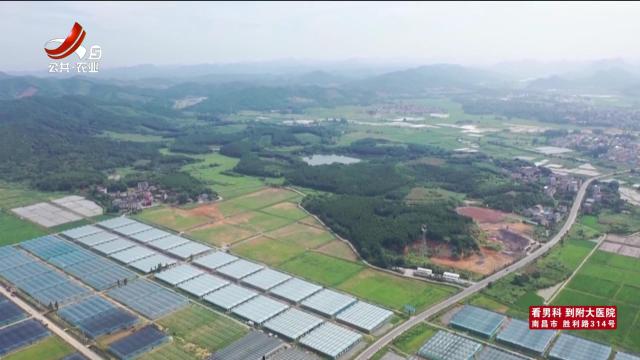 三农头条20240915