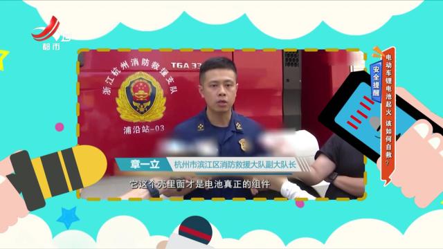 地宝当家20240910