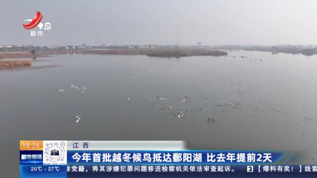 江西：今年首批越冬候鸟抵达鄱阳湖 比去年提前2天