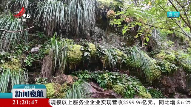 阳际峰国家级自然保护区发现珍稀野生植物泥炭藓群落