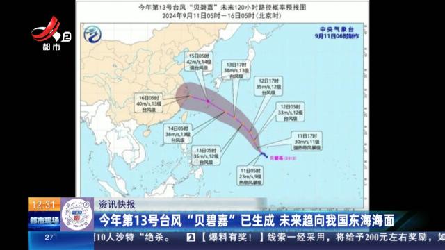 今年第13号台风“贝碧嘉”已生成 未来趋向我国东海海面