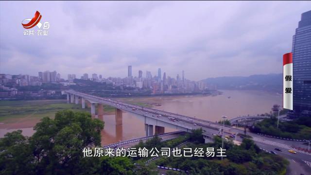 乡村栏目剧场20240913 假爱