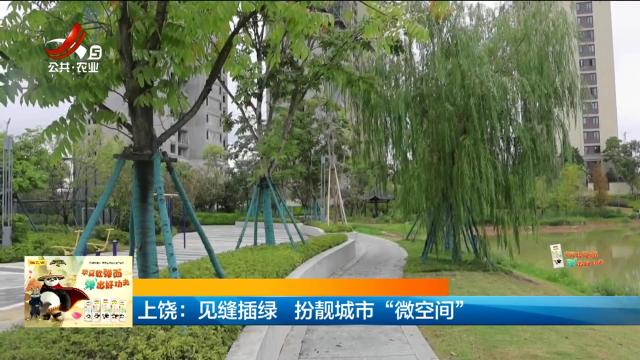 上饶：见缝插绿 扮靓城市“微空间”