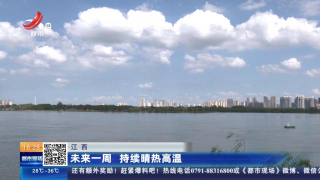 都市现场20240906