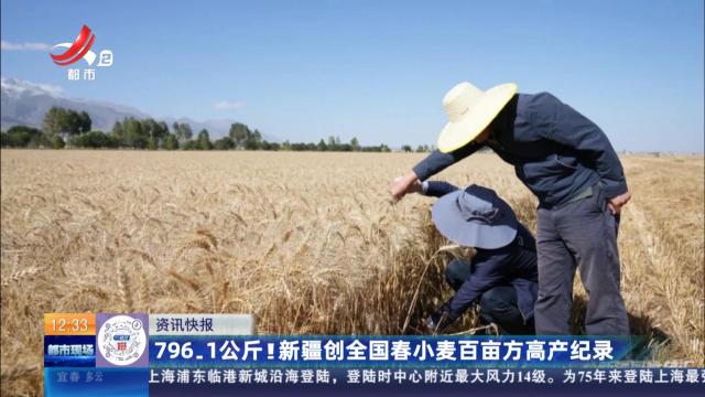796.1公斤！新疆创全国春小麦百亩方高产纪录