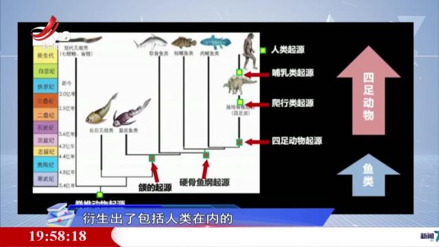 读书廖理20240920 《牙齿的谎言》