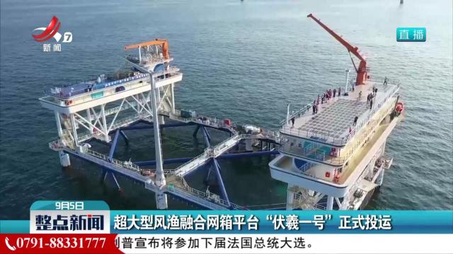 超大型风渔融合网箱平台“伏羲一号”正式投运
