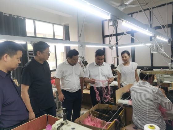 李国兴调研宜春市袁州区水江镇假发产业发展情况