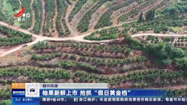 赣州南康：柚果新鲜上市 抢抓“假日黄金档”