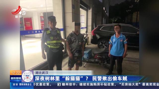 湖北武汉：深夜树林里“躲猫猫”？ 民警揪出偷车贼