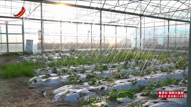 三农头条20240909