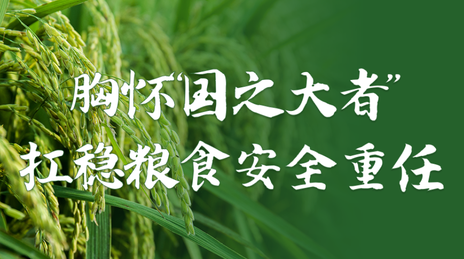 长天新闻丨江右时评：粮仓根基稳固 饭碗端得更牢