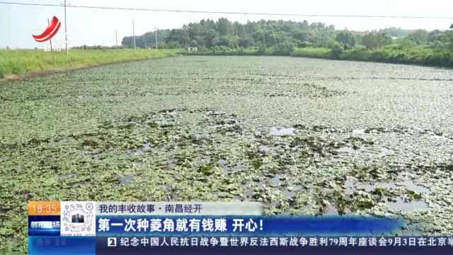 【我的丰收故事】南昌经开：第一次种菱角就有钱赚 开心！