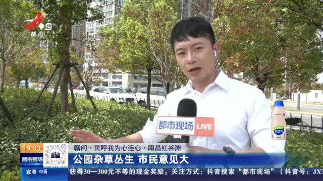 【赣问·民呼我为心连心】南昌红谷滩：公园杂草丛生 市民意见大