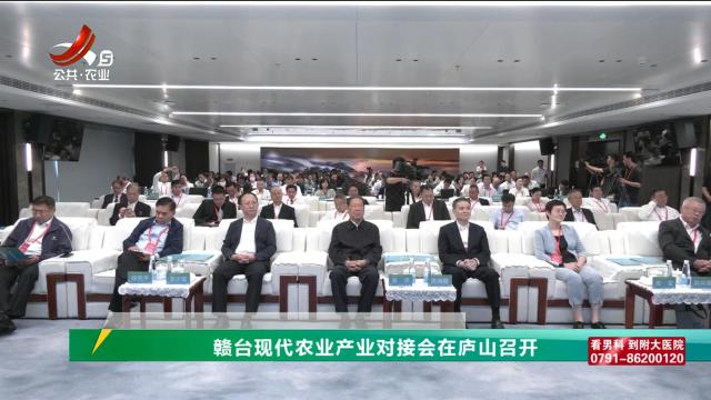 三农头条20240902