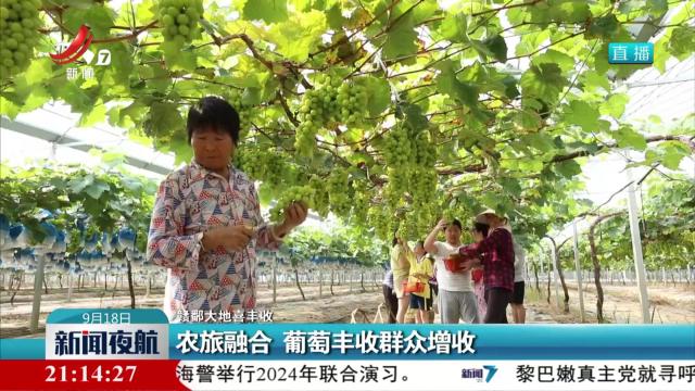 【赣鄱大地喜丰收】农旅融合 葡萄丰收群众增收