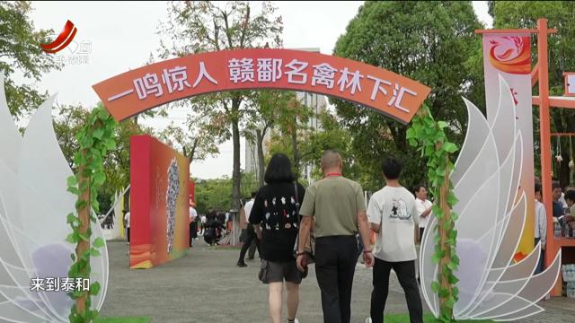 【2024年中国农民丰收节江西活动】赣鄱名禽林下汇 乡村振兴好“鸡”会