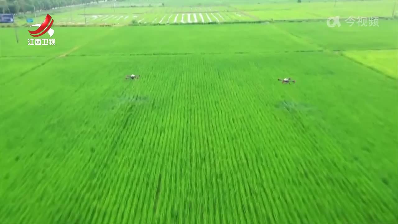 江西新闻联播20240914