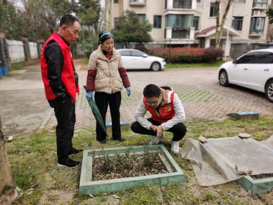 宜春市宜阳新区官园街道官园桥头片区丽景滨江小区：“共享花园”提颜值 绿色家园携手建