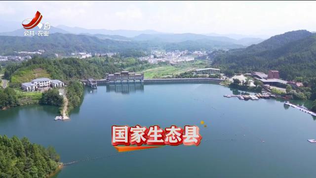 美丽江西在行动20240901 两次“靠山吃山”：一次毁生态持苦果 一次护生态得硕果