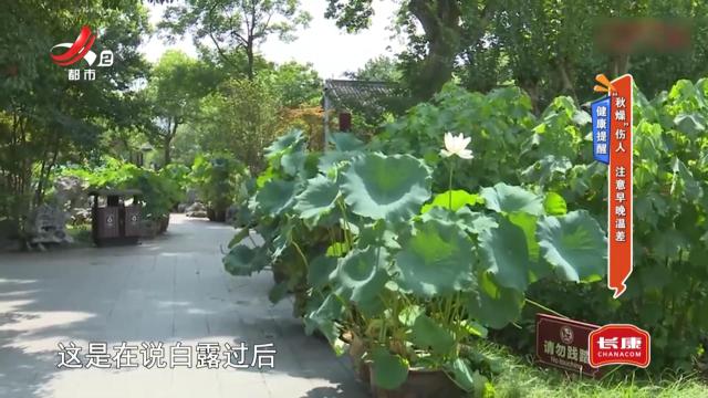 健康提醒——“秋燥”伤人 注意早晚温差