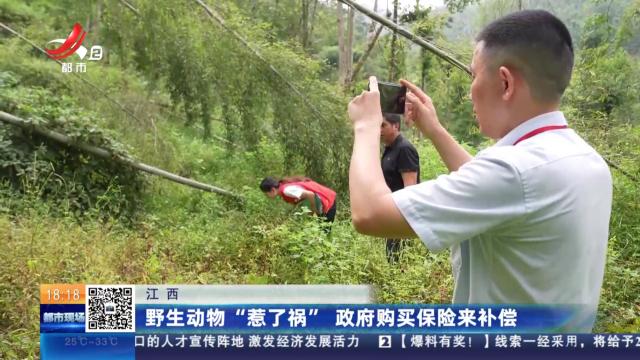 江西：野生动物“惹了祸” 政府购买保险来补偿