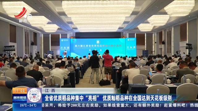 江西：全省优质稻品种集中“亮相” 优质籼稻品种在全国达到天花板级别