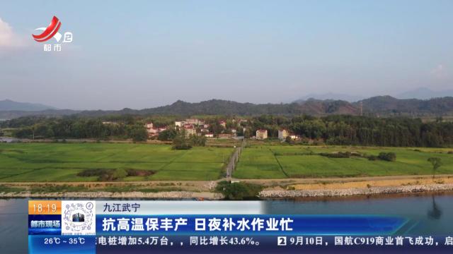 九江武宁：抗高温保丰产 日夜补水作业忙