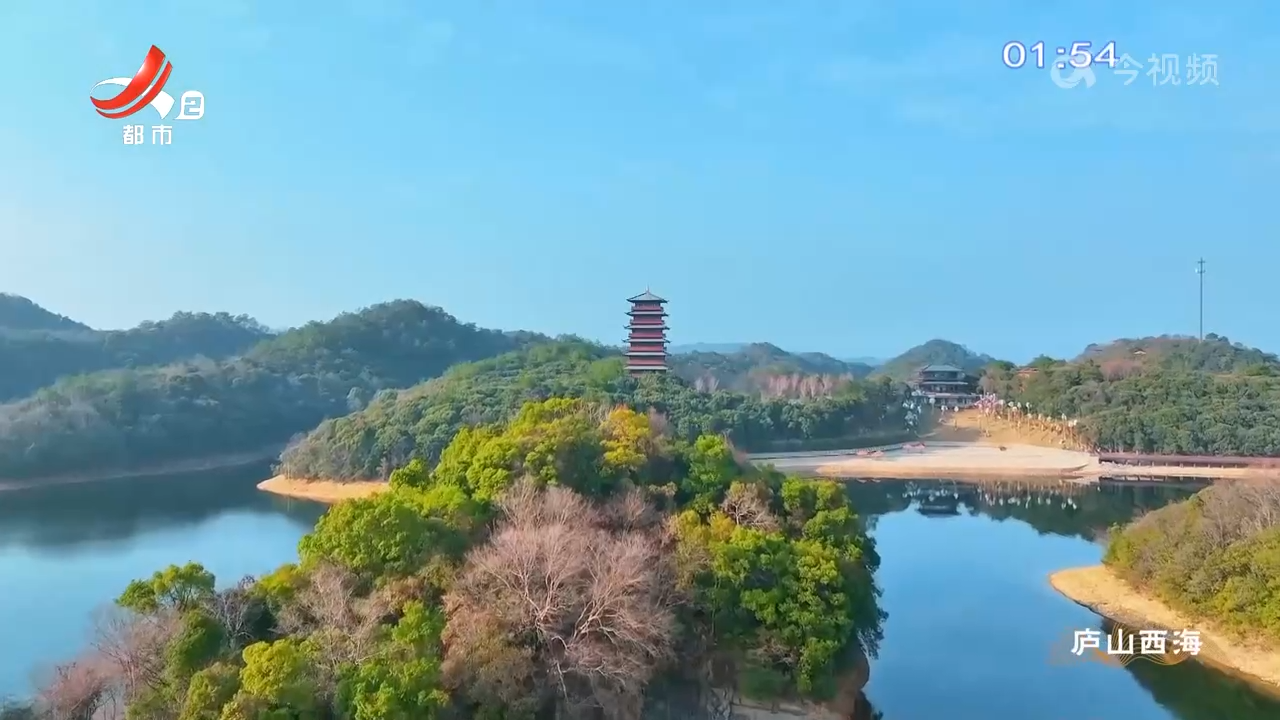 都市现场20240908