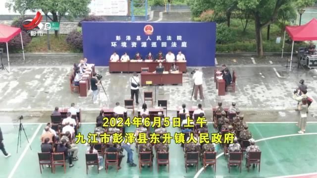落槌有声20240909 残杀梅花鹿的代价