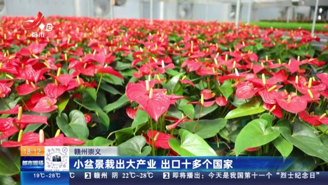 赣州崇义：小盆景栽出大产业 出口十多个国家