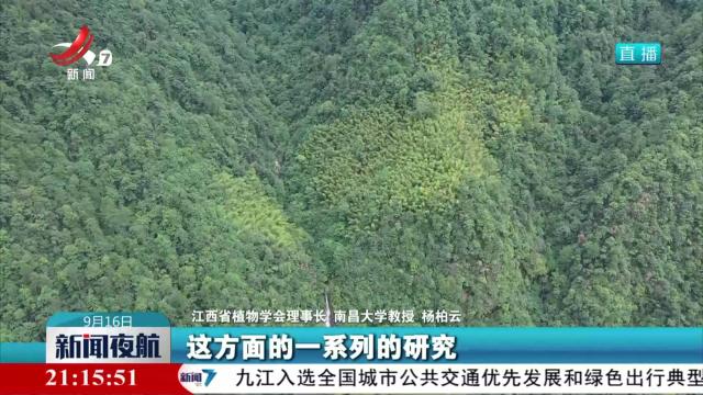 全国首次发现 武夷山国家公园（江西片区）一颗香榧树上长4种兰科植物