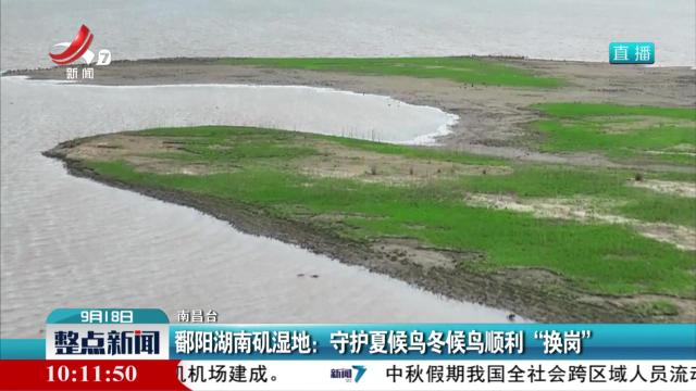 鄱阳湖南矶湿地：守护夏候鸟冬候鸟顺利“换岗”