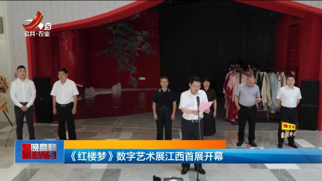 《红楼梦》数字艺术展江西首展开幕