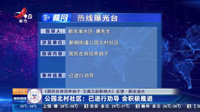 【《居民在房顶养鸽子 又臭又脏影响大》反馈·新余渝水】公园北村社区：已进行劝导 会积极推进