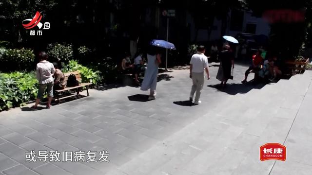 健康提醒——入秋养肺一碗汤 沙参黄菊炖瘦肉