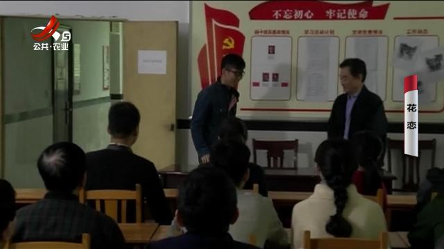 乡村栏目剧场20240919 花恋
