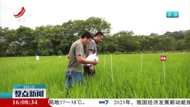 “虫虫特攻队”这样干农活