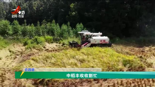 三农头条20240929