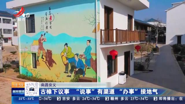 南昌安义：古樟下议事 “说事”有渠道 “办事”接地气