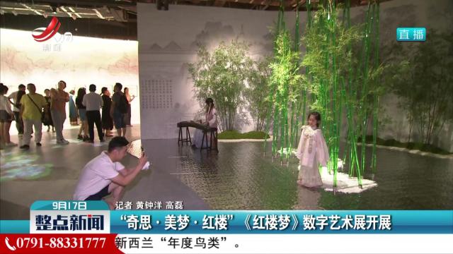 “奇思·美梦·红楼” 《红楼梦》数字艺术展开展
