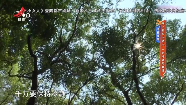 健康提醒——网上买车太诱人 一时冲动陷窘境