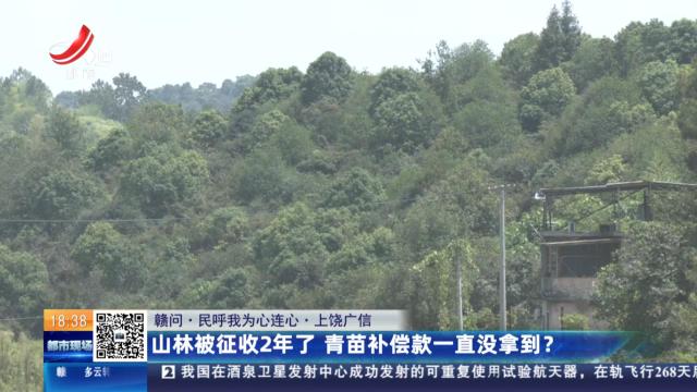 【赣问·民呼我为心连心】上饶广信：山林被征收2年了 青苗补偿款一直没拿到？