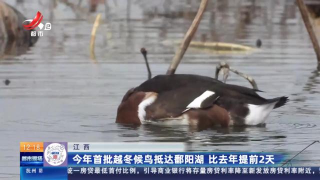 江西：今年首批越冬候鸟抵达鄱阳湖 比去年提前2天