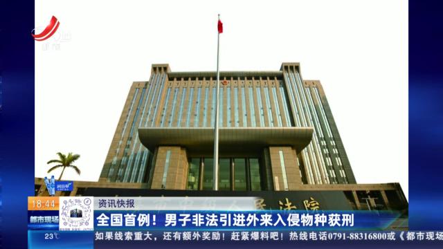 全国首例！男子非法引进外来入侵物种获刑
