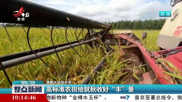 【赣鄱大地喜丰收】高标准农田绘就秋收好“丰”景