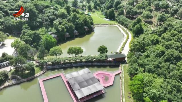 赣出精彩20240927