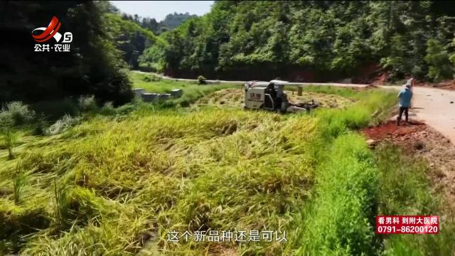 三农头条20240924