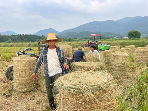 宜春市袁州区：秸秆五化“变废为宝” 减碳助力乡村振兴