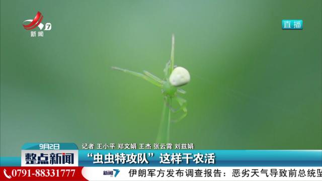 “虫虫特攻队”这样干农活